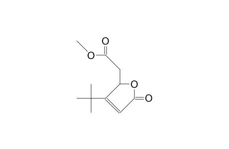5-Carbomethoxymethyl-4-tert-butyl-oxa-cyclopent-3-en-2-one