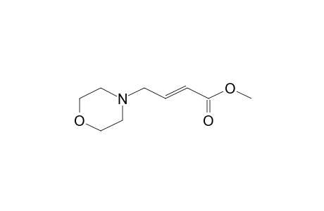 2-Butenoic acid, 4-(morpholin-4-yl)-, methyl ester