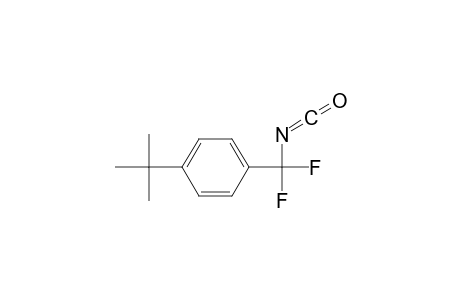 1-tert-Butyl-4-[difluoro(isocyanato)methyl]benzene