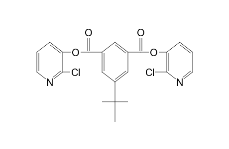 5-tert-butylisophthalic acid, bis(2-chloro-3-pyridyl) ester