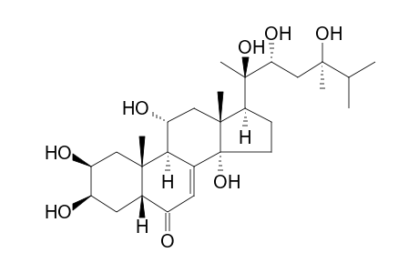 (2S,3R,5R,9R,10R,11R,13R,14S,17S)-17-[(2R,3R,5R)-5,6-dimethyl-2,3,5-tris(oxidanyl)heptan-2-yl]-10,13-dimethyl-2,3,11,14-tetrakis(oxidanyl)-2,3,4,5,9,11,12,15,16,17-decahydro-1H-cyclopenta[a]phenanthren-6-one