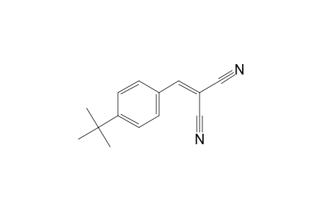 4-Tert-butylbenzylidenemalononitrile