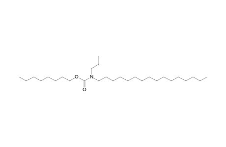 Carbonic acid, monoamide, N-propyl-N-hexadecyl-, octyl ester