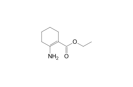 2-Amino-1-cyclohexenecarboxylic acid ethyl ester