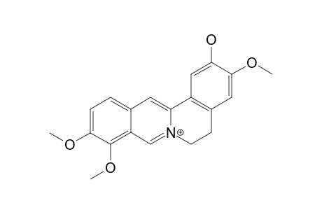 Columbamine