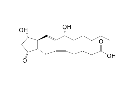 PROSTAGLANDIN PGE2