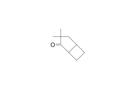 3,3-Dimethyl-bicyclo[3.2.0]heptan-2-one