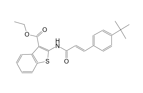 ethyl 2-{[(2E)-3-(4-tert-butylphenyl)-2-propenoyl]amino}-1-benzothiophene-3-carboxylate