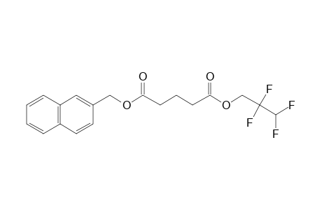 Glutaric acid, 2,2,3,3-tetrafluoropropyl (2-naphthyl)methyl ester