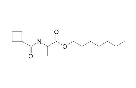 L-Alanine, N-cyclobutylcarbonyl-, heptyl ester