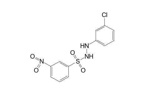 m-nitrobenzenesulfonic acid, 2-(m-chlorophenyl)hydrazide