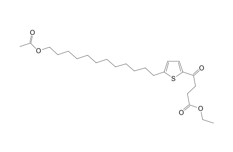 2-[1',4'-Dioxo-4'-(ethoxybutyl)]-5-(12"-acetoxydodecyl)thiophene