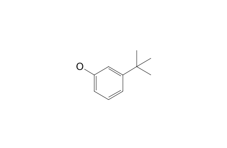 3-Tert-butylphenol