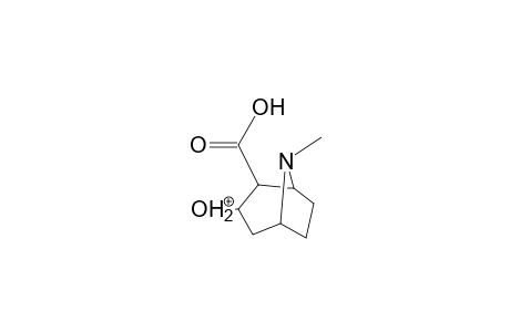 Benzoylecgonine-M (HO-ring) isomer 1 MS3_2