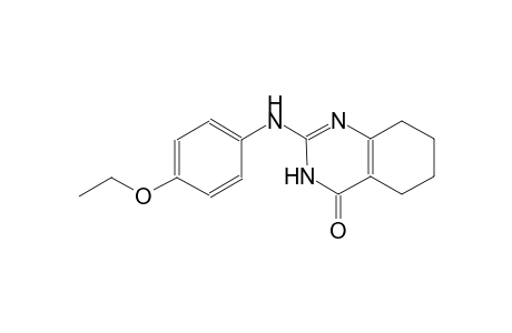 2-(4-ethoxyanilino)-5,6,7,8-tetrahydro-4(3H)-quinazolinone