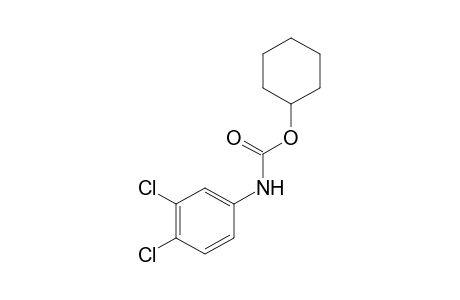 3,4-dichlorocarbanilic acid, cyclohexyl ester