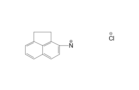3-acenaphthenamine, hydrochloride