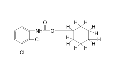 2,3-dichlorocarbanilic acid, cyclohexyl ester