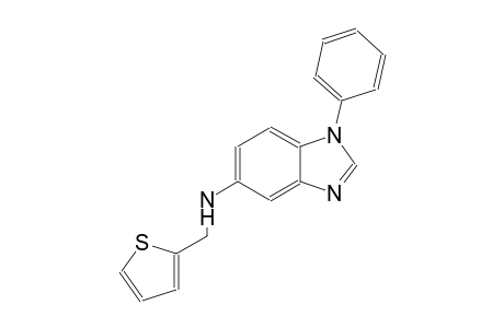 1-phenyl-N-(2-thienylmethyl)-1H-benzimidazol-5-amine
