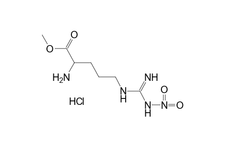 L-N5-(NITROAMIDINO)ORNITHINE, METHYL ESTER, MONOHYDROCHLORIDE