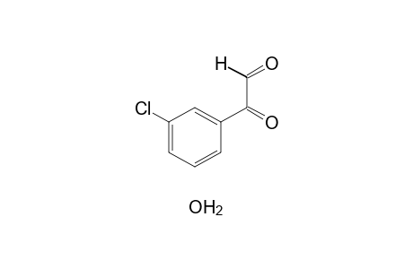 (m-CHLOROPHENYL)GLYOXAL, MONOHYDRATE