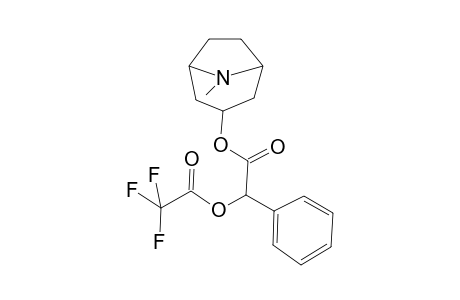 dl-Homatropine trifluoroacetate