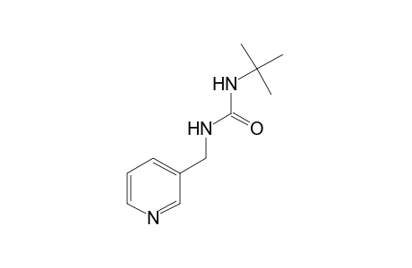 1-tert-butyl-3-[(3-pyridyl)methyl]urea