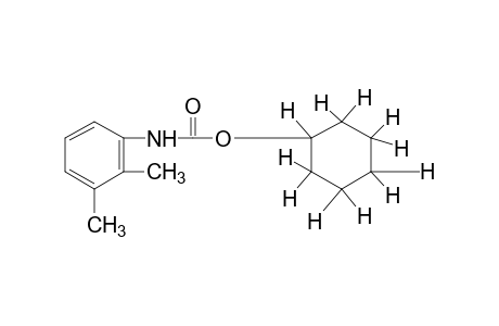 2,3-dimethylcarbanilic acid, cyclohexyl ester