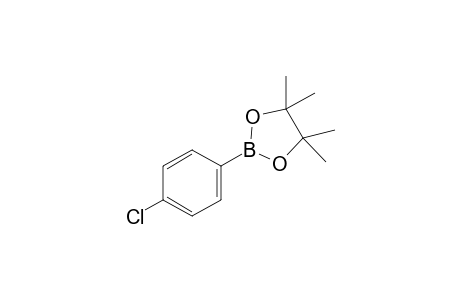 2-(4-Chlorophenyl)-4,4,5,5-tetramethyl-1,3,2-dioxaborolane