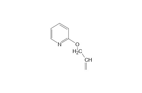 2-Allyloxypyridine