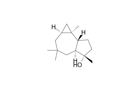 ISOLEPTO-GRAPHIOL