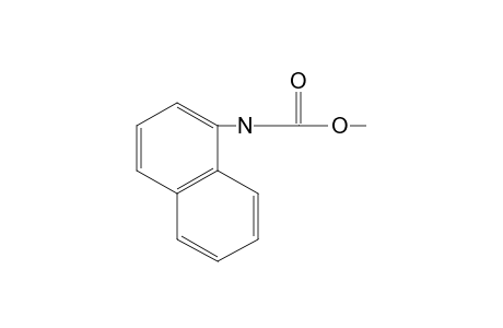 1-naphthalenecarbamic acid, methyl ester