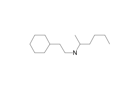 (2-Cyclohexyl-ethyl)-(1-methyl-pentyl)-amine