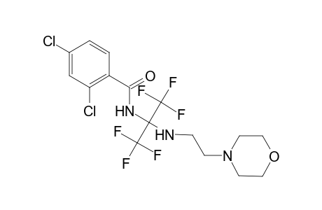 2,4-dichloro-N-[2,2,2-trifluoro-1-{[2-(4-morpholinyl)ethyl]amino}-1-(trifluoromethyl)ethyl]benzamide