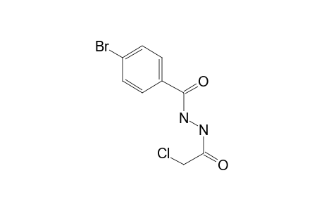 4-Bromo-benzoic acid N'-(2-chloro-acetyl)-hydrazide