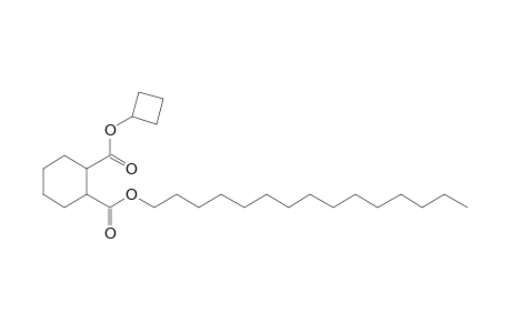 1,2-Cyclohexanedicarboxylic acid, cyclobutyl pentadecyl ester