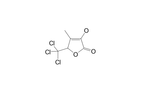 Furan-2(5H)-one, 5-trichloromethyl-3-hydroxy-4-methyl-