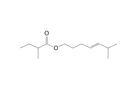 6-Methylhept-4-en-1-yl 2-methylbutanoate