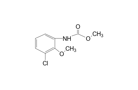 3-chloro-2-methoxycarbanilic acid, methyl ester