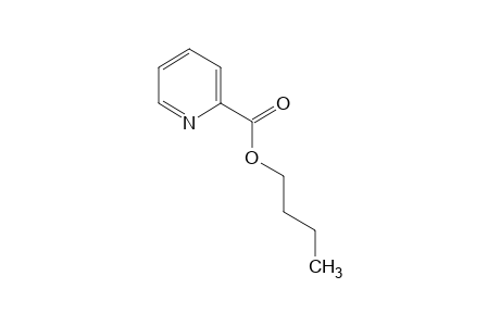 picolinic acid, butyl ester
