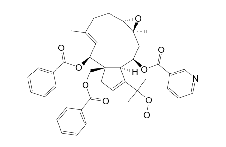 NIGELLAMINE-B1