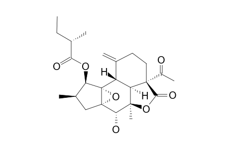 CROTOCASCARIN-BETA