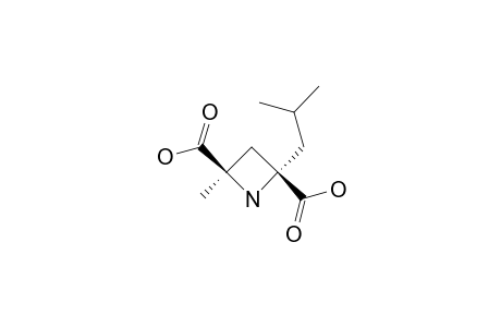 (+)-MONASCUMIC-ACID;(+)-SYN-2-ISOBUTYL-4-METHYLAZETIDINE-2,4-DICARBOXYLIC-ACID