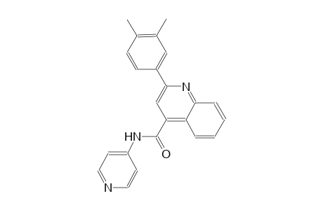 2-(3,4-dimethylphenyl)-N-(4-pyridinyl)-4-quinolinecarboxamide