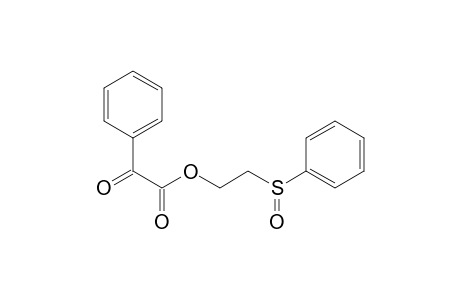 2-(benzenesulfinyl)ethyl 2-oxo-2-phenyl-acetate