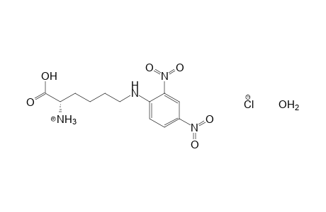 N6-(2,4-dinitrophenyl)-L-lysine, monohydrochloride, monohydrate