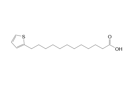 12-(2-thienyl)dodecanoic acid