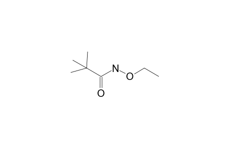 N-Ethoxy-2,2-dimethylpropanamide