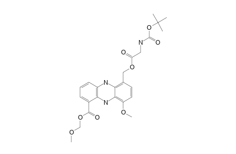 METHOXYMETHYL_N-TERT.-BUTOXYCARBONYLGLYCYLGRISEOLUTEIC_ACID