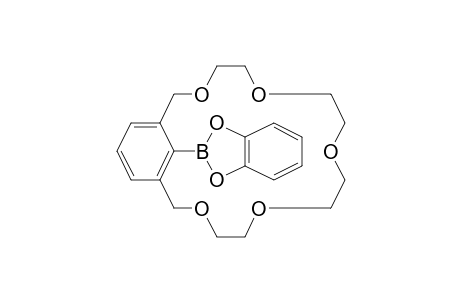 21-(1,3,2-Benzodioxaborol-2-yl)-3,6,9,12,15-pentaoxabicyclo[15.3.1]henicosa-1(21),17,19-triene